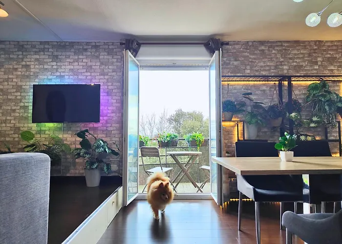 Cocoon'inn * Blagnac