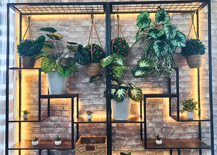 Cocoon'inn Appartamento *