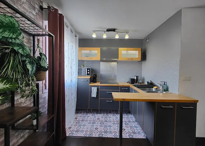 Cocoon'inn Appartamento Blagnac