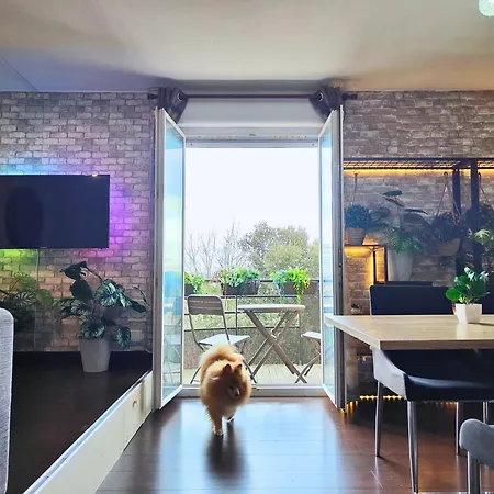 Cocoon'inn * Бланьяк