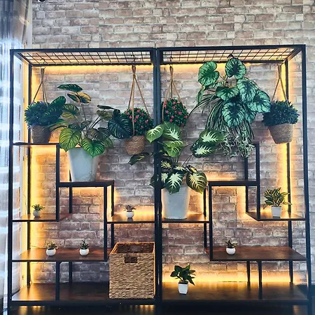 Cocoon'inn Апартаменты *