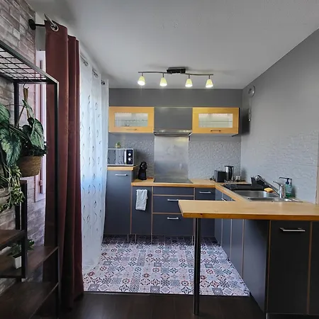 Cocoon'inn Apartment Blagnac